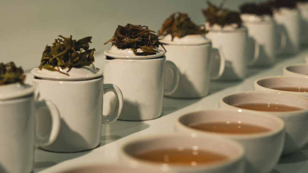 Saket Impex Tea Heritage